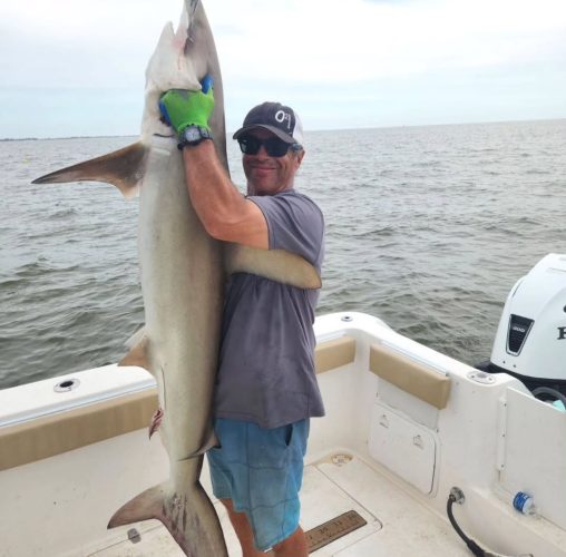 oilfield outkasts charters, oilfield outkasts, freeport texas offshore fishing, texas offshore fishing, offshore fishing surfside beach texas, deep sea fishing texas, shark, blacktip, capt james, jferrisabq