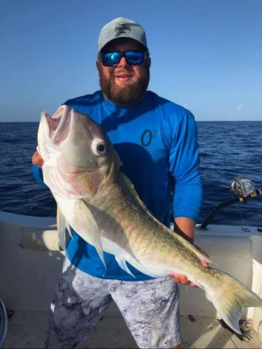 oilfield outkasts charters, oilfield outkasts, freeport texas offshore fishing, texas offshore fishing, offshore fishing surfside beach texas, deep sea fishing texas, golden tile, tilefish, golden tilefish, capt eric, capt_eric_allenstein
